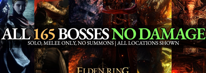 Elden Ring player masterfully defeated 165 bosses without taking any damage 