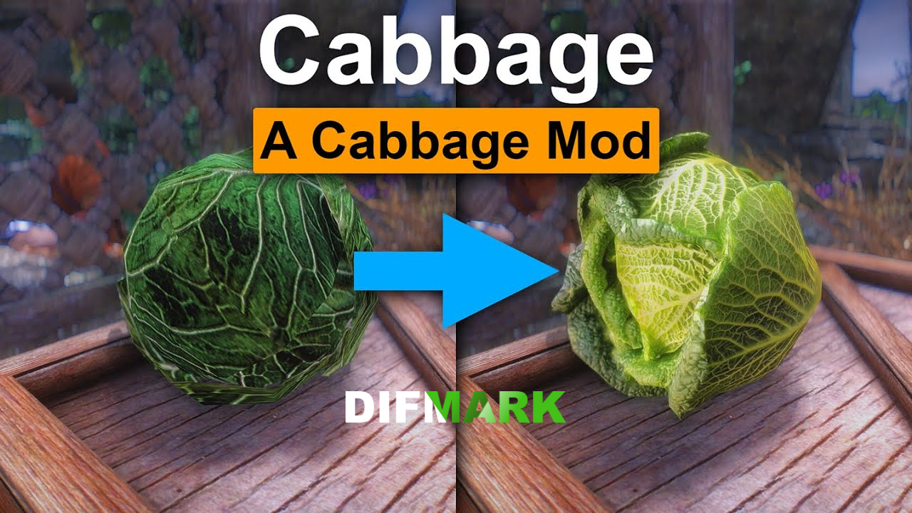 Skyrim modders, this time, hit the fans with the perfect cabbage