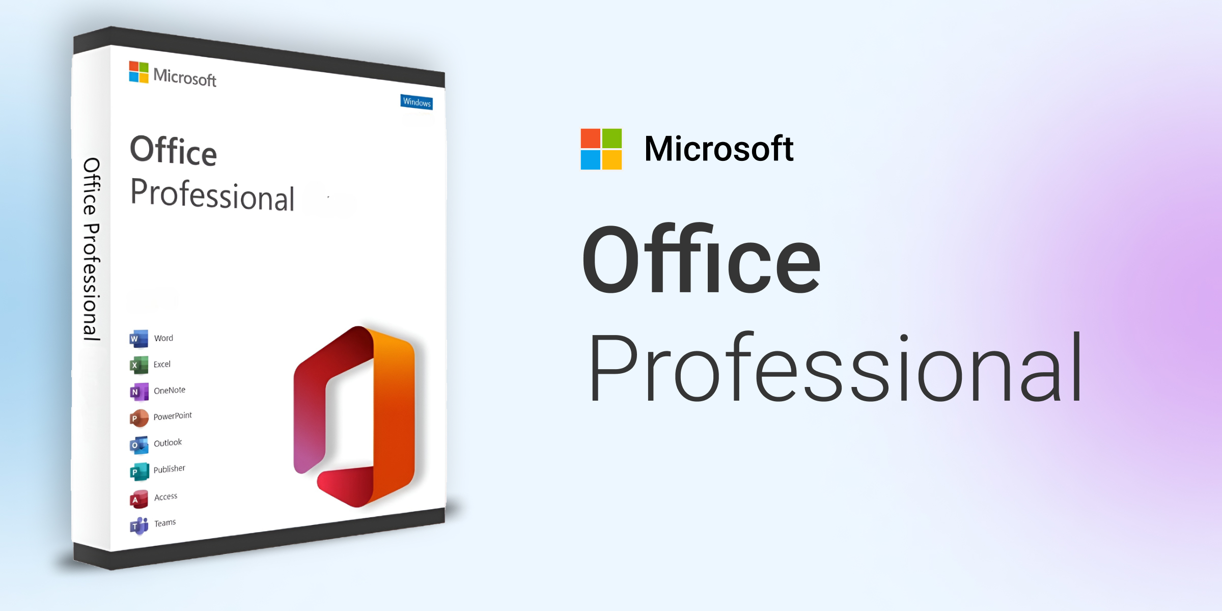 MS Office 2013 Professional OEM