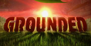 Grounded (Steam Account) 구입