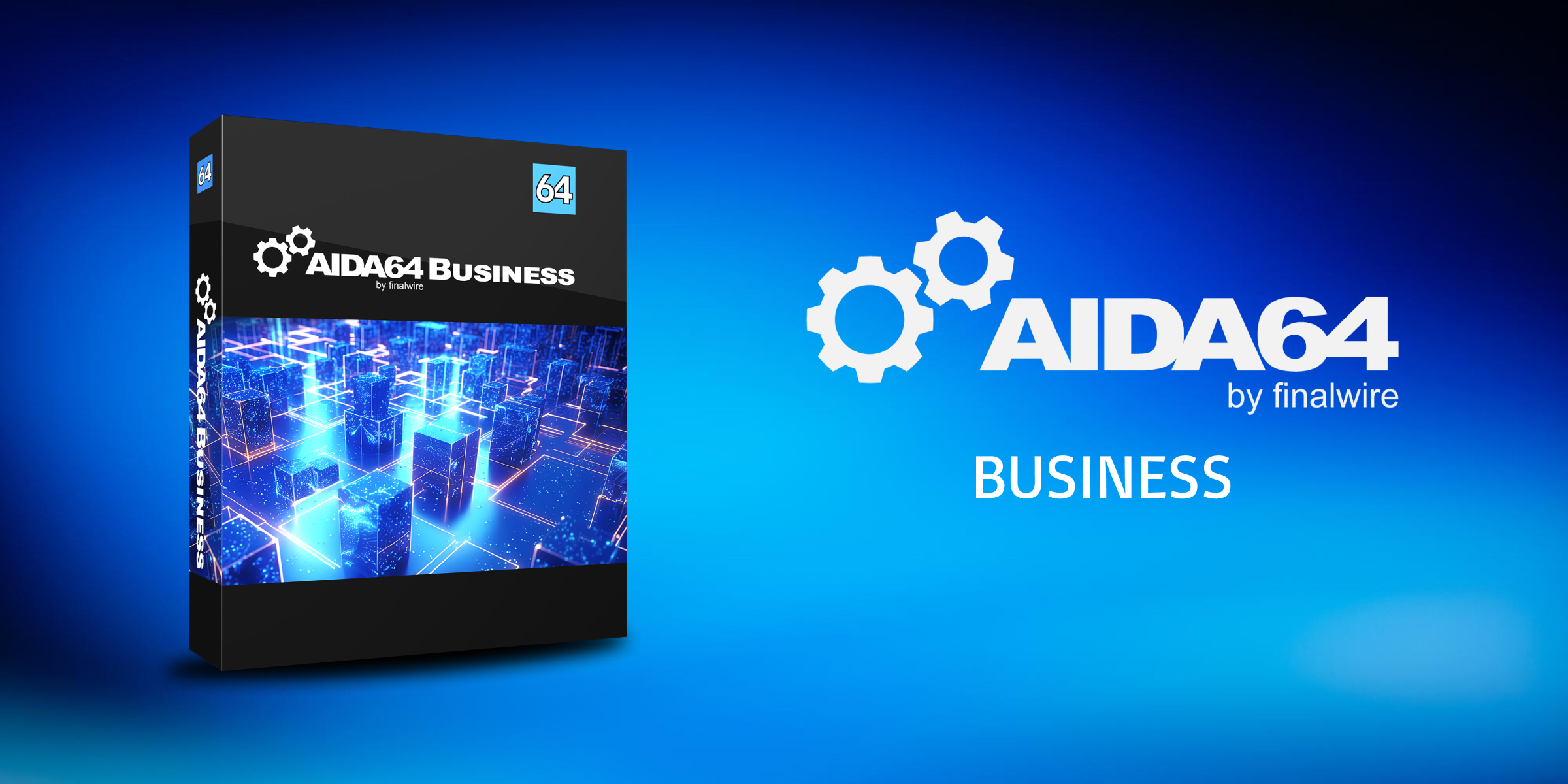 Aida64 Business