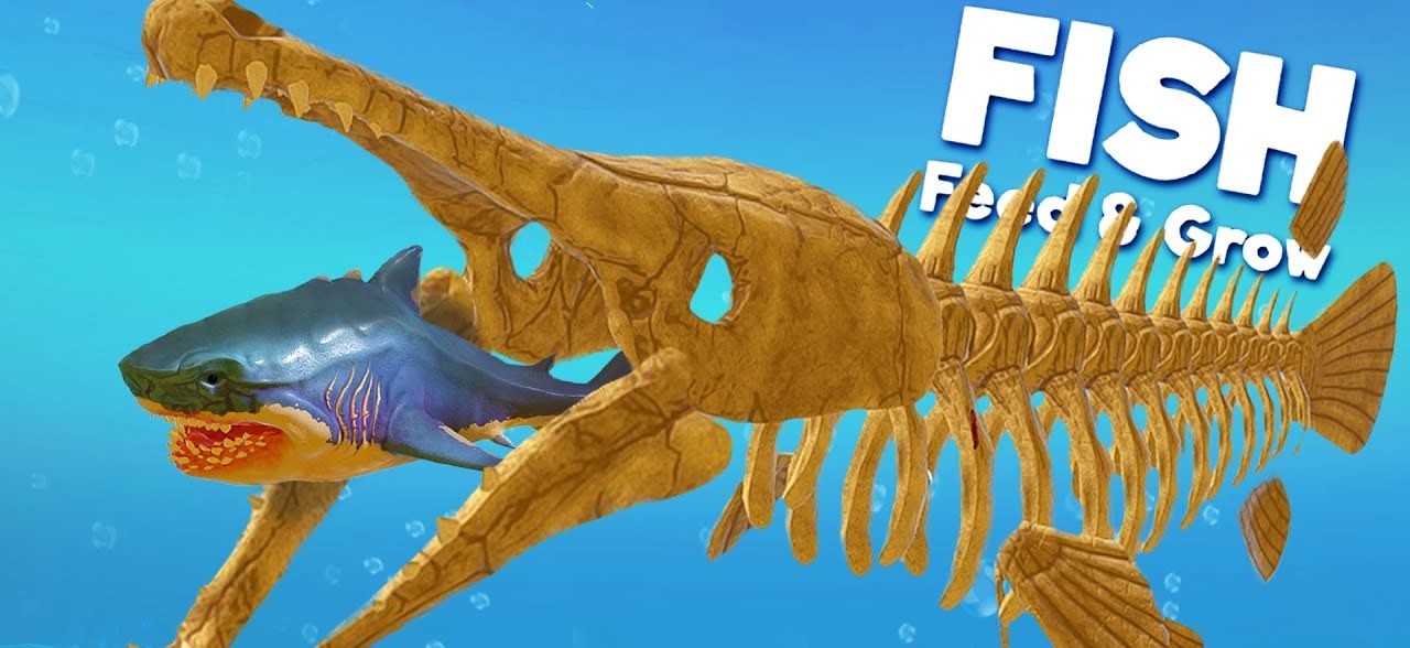 Feed and Grow: Fish