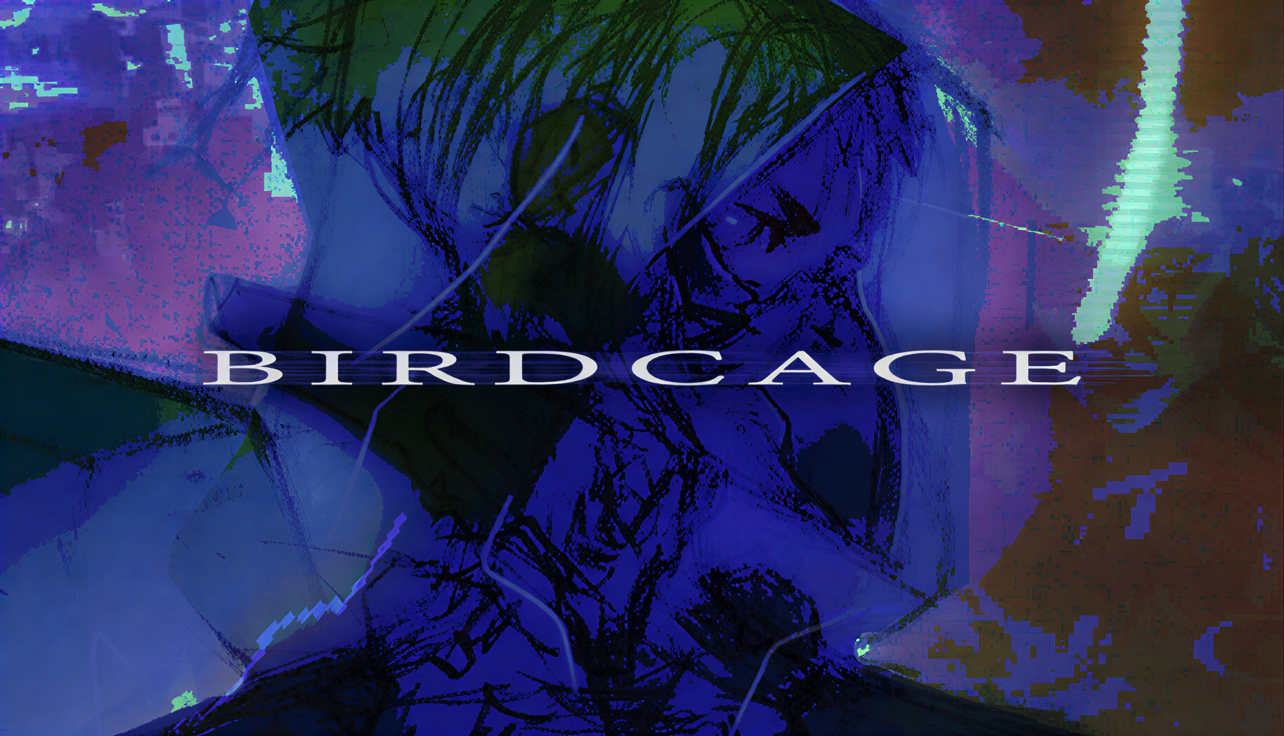 Birdcage