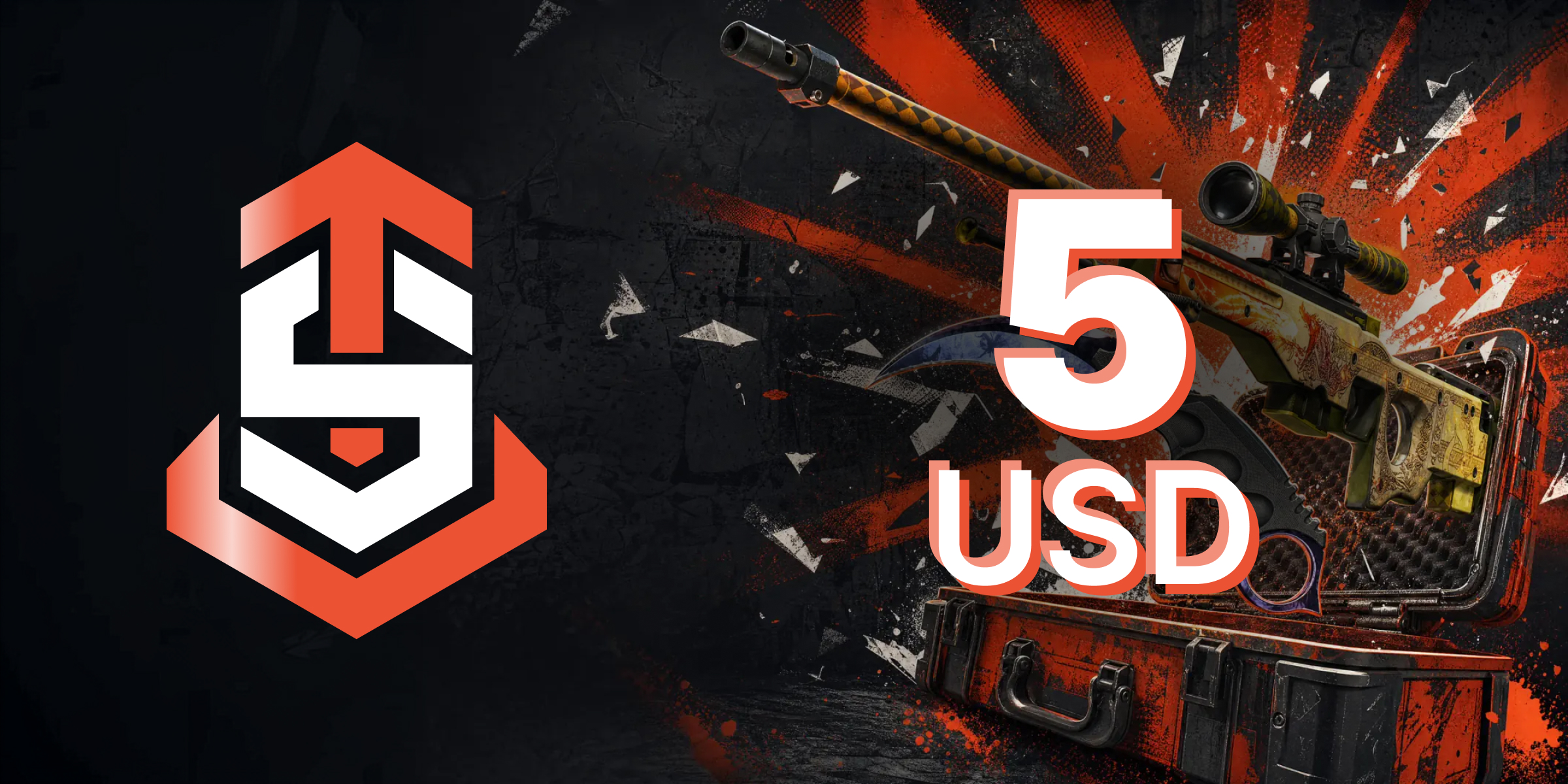 SkinTrain Gift Card 5 USD