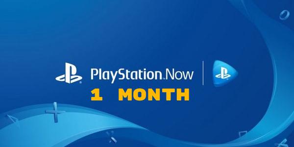 Kaufen PlayStation Now 1 Month 