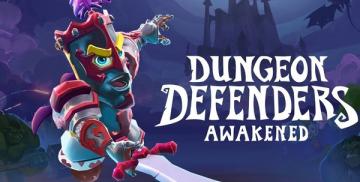 Comprar Dungeon Defenders: Awakened (PS4)