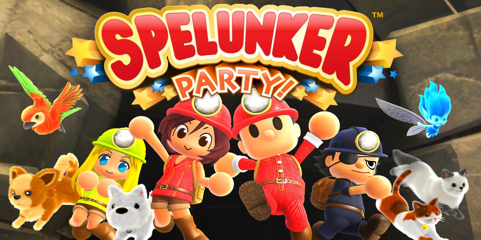 Spelunker Party