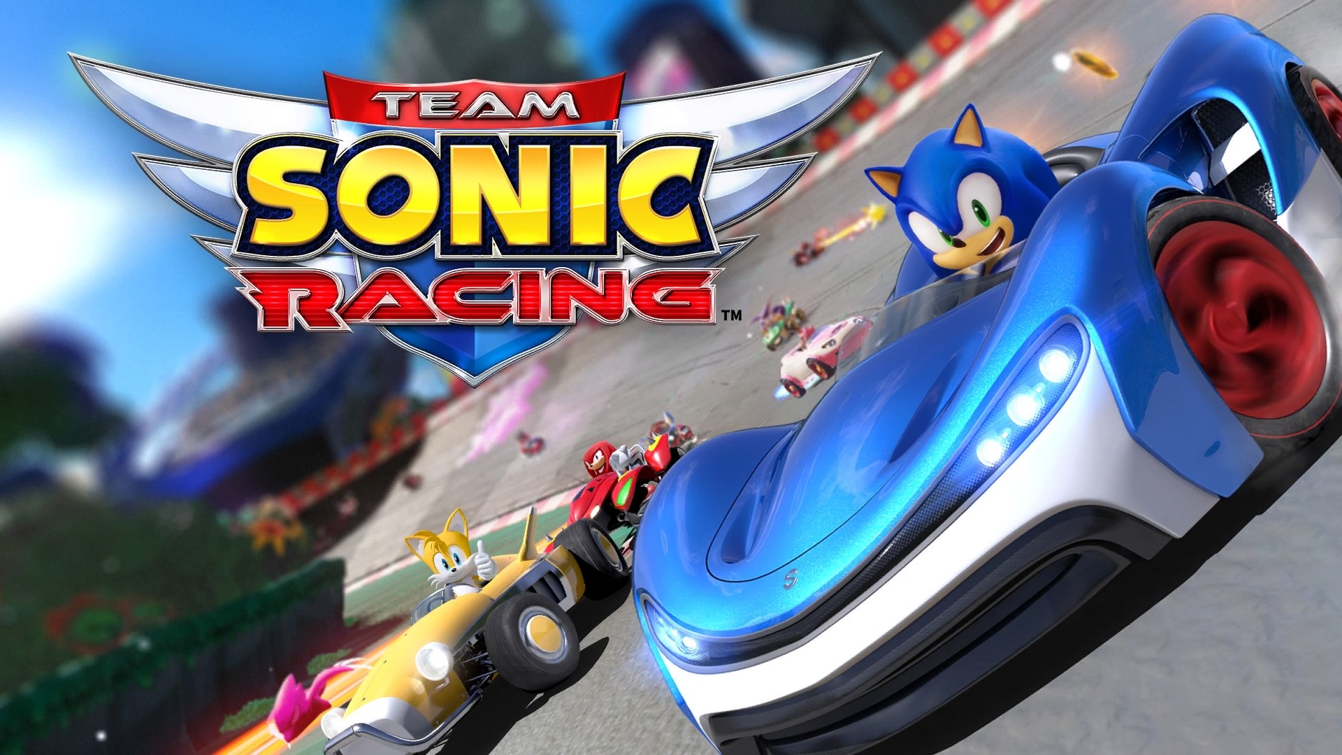 TEAM SONIC RACING (PS4)