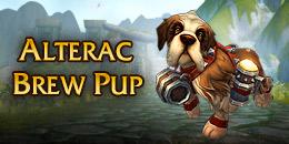 Kjøpe World of Warcraft - Alterac Brew Pup - Pet Code (DLC)