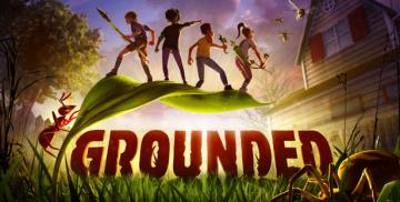 Kup Grounded (PC)