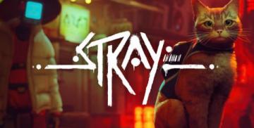 购买 Stray (Xbox X)