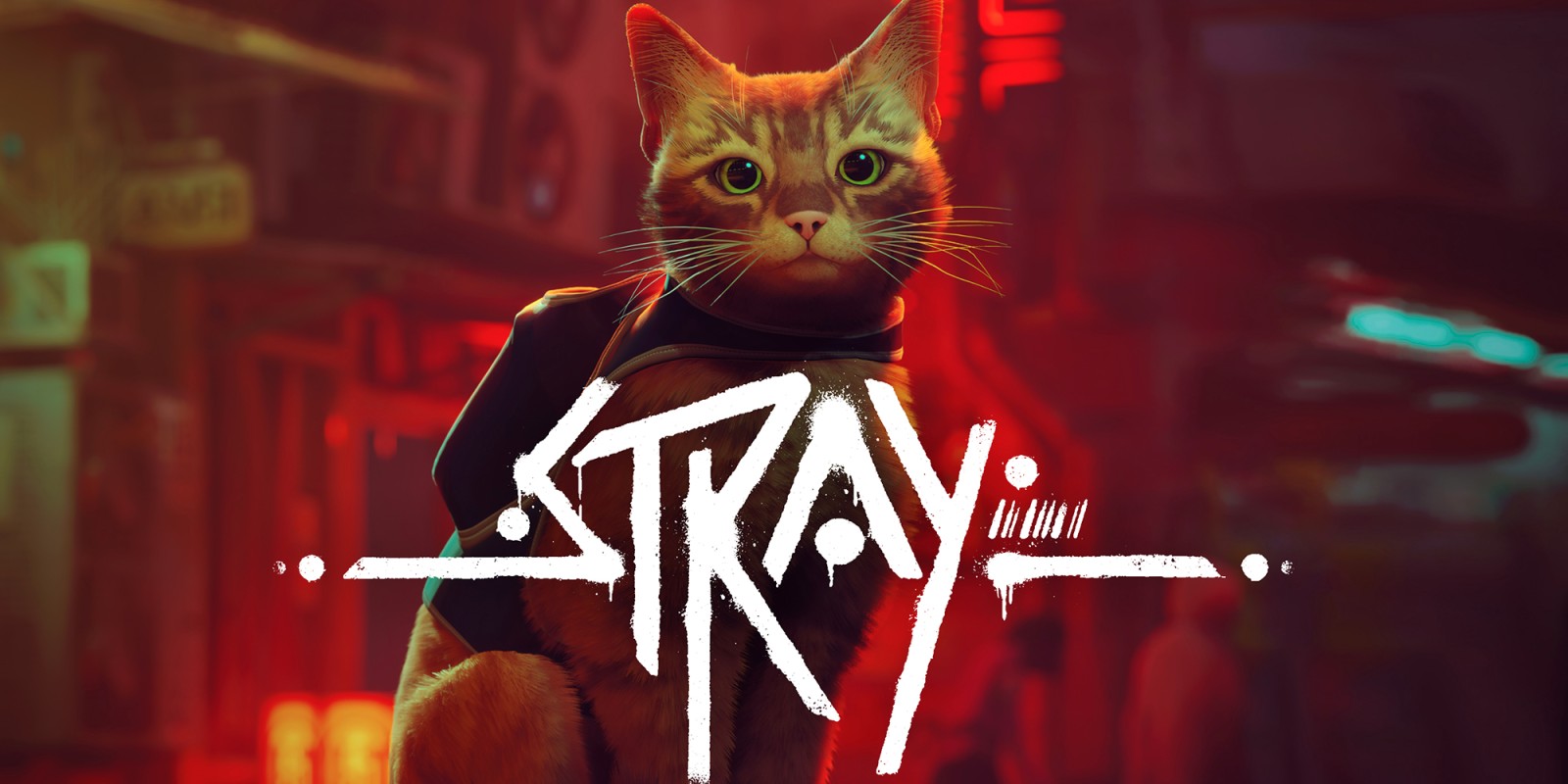 Stray (XB1)