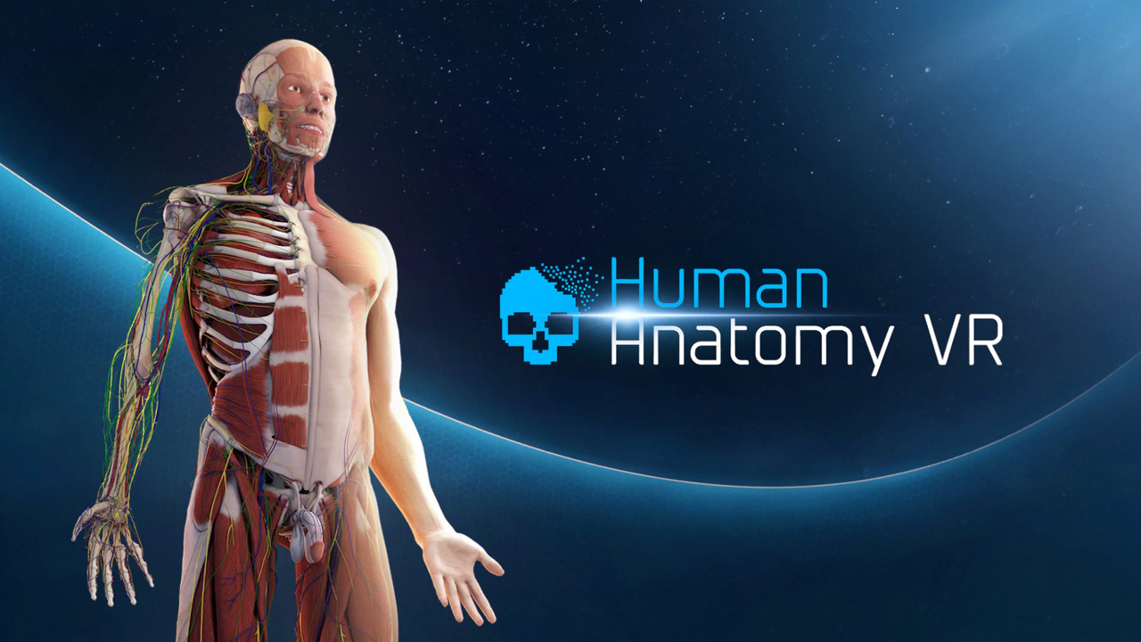 Human Anatomy (PS4)
