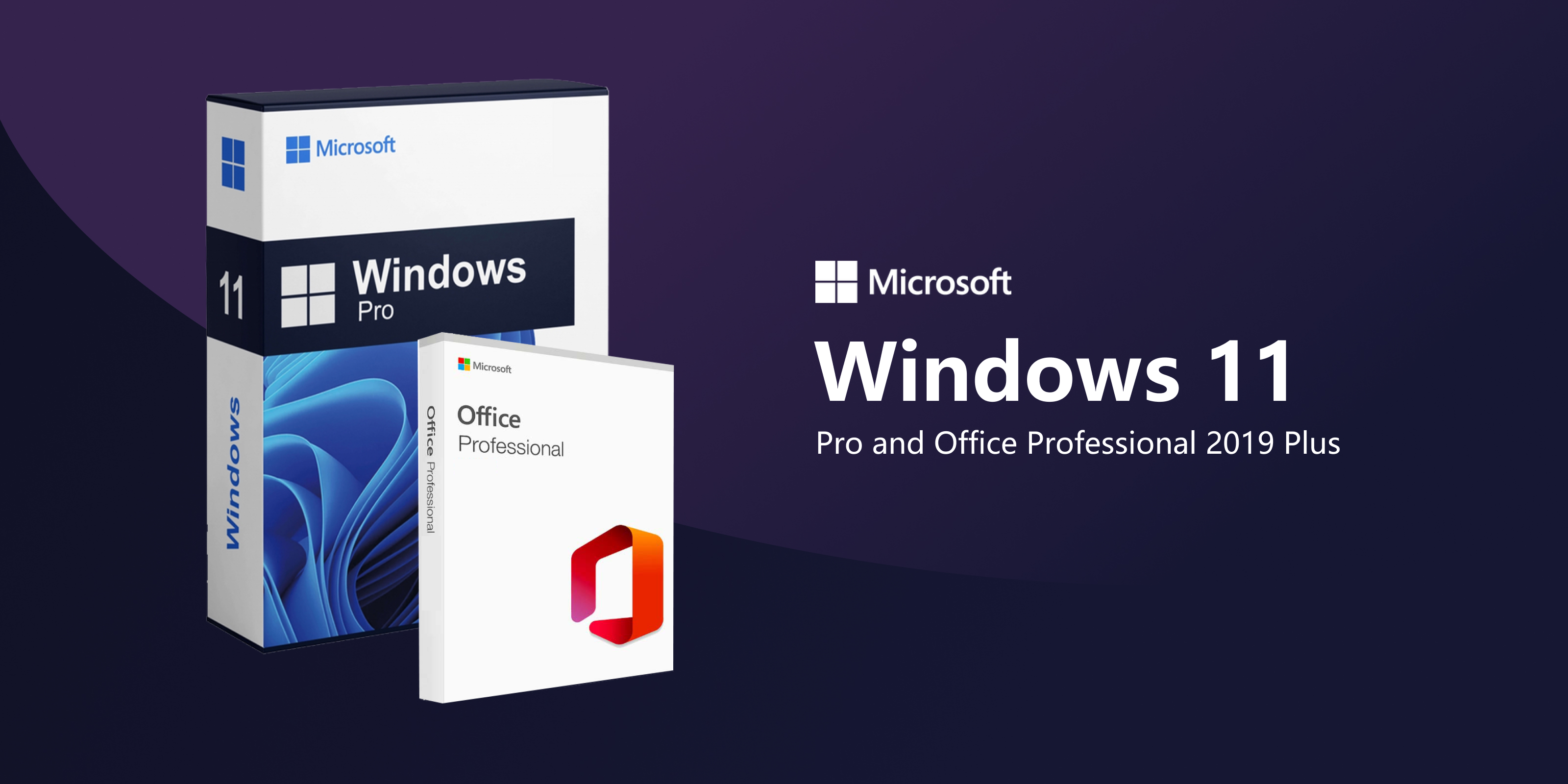 Microsoft Windows 11 Pro abd  Office Professional 2019 Plus