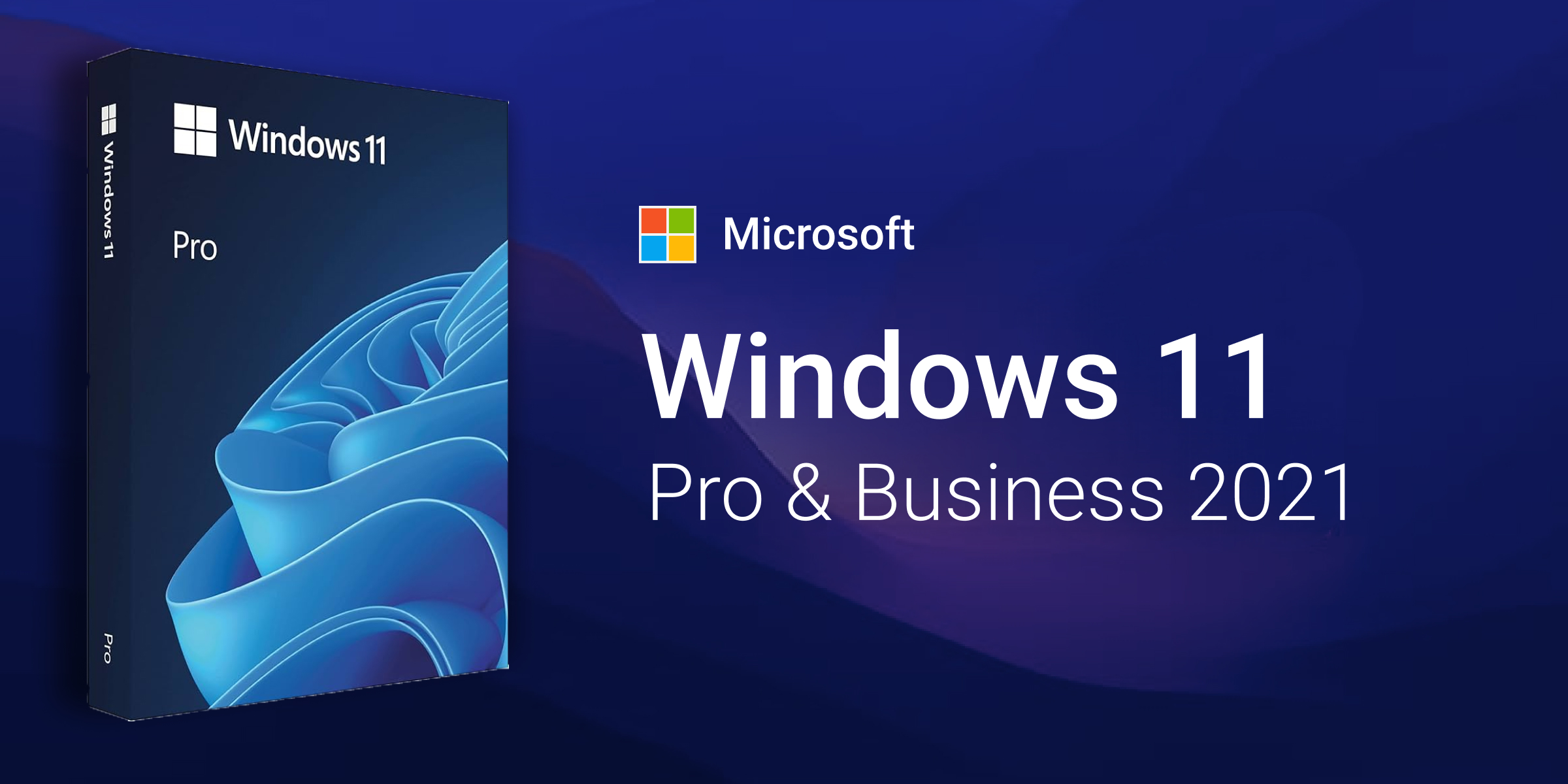 Microsoft Windows 11 Pro and Business 2021