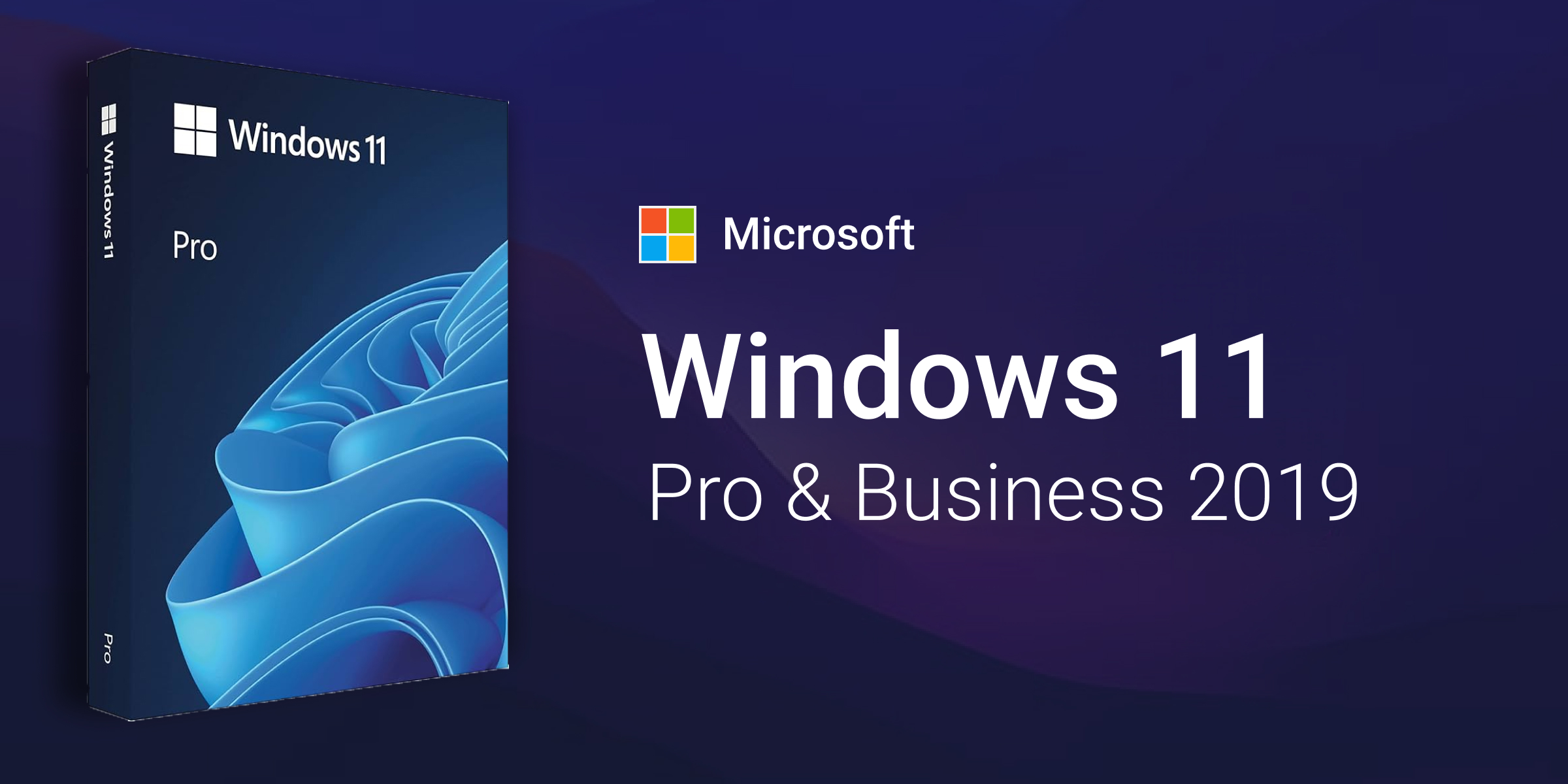 Microsoft Windows 11 Pro and Business 2019