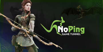 Köp NoPing Game Tunnel Quarterly Subscription NoPing Key 