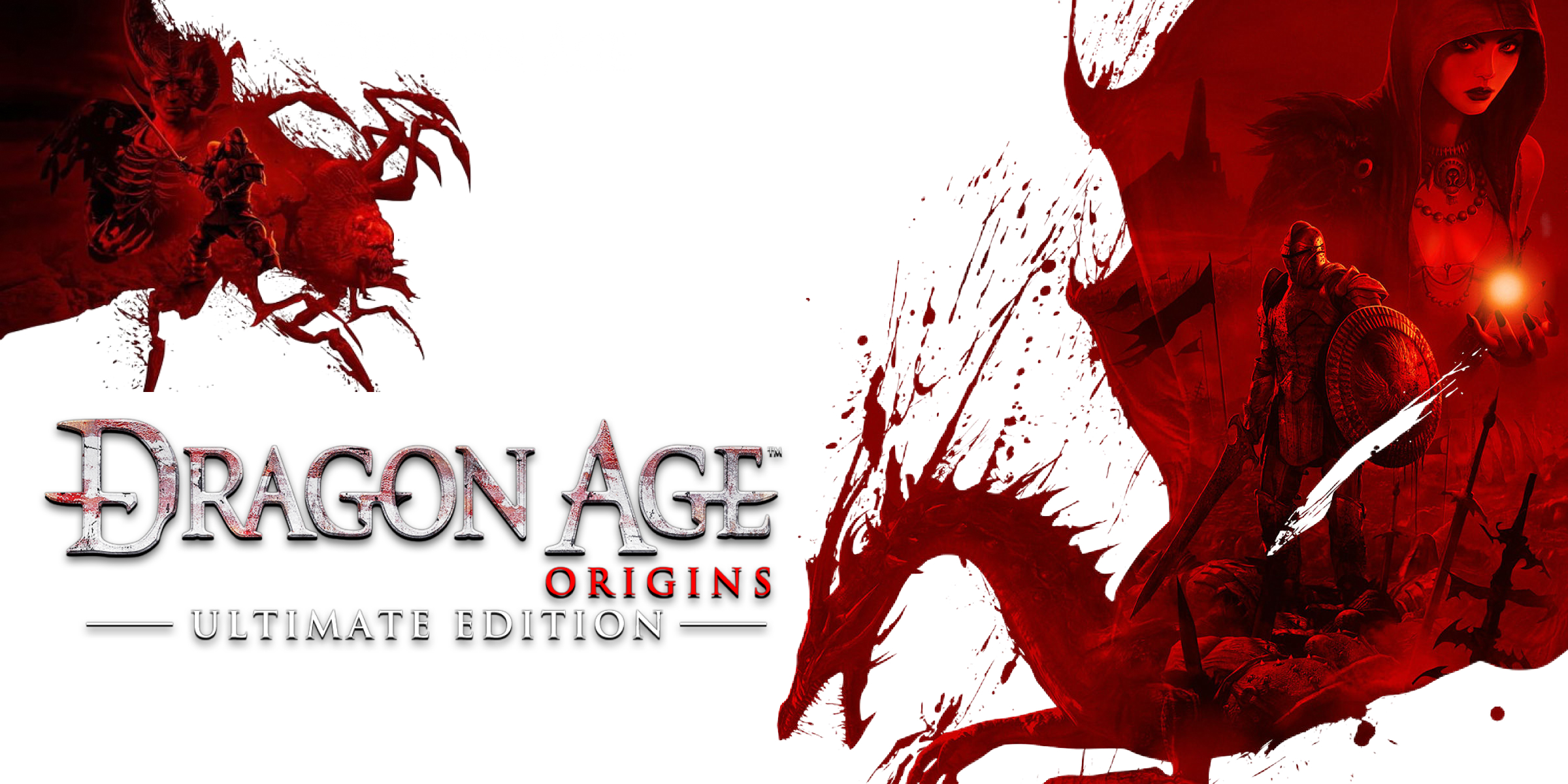 Dragon Age Origins (PC)