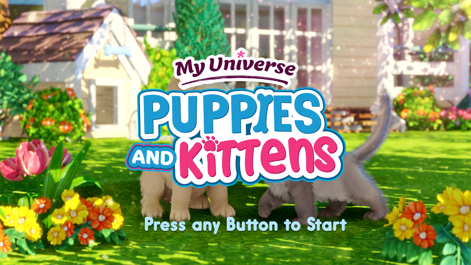 My Universe Puppies And Kittens