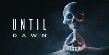 Until Dawn (Steam Account) 구입