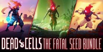 Kjøpe Dead Cells: The Fatal Seed Bundle (Steam Account)