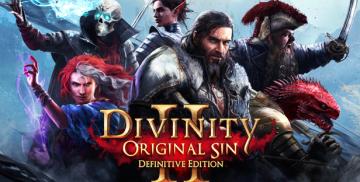 Divinity Original Sin 2 (Steam Account) 구입
