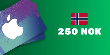 Køb Apple iTunes Gift Card 250 NOK