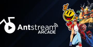 購入Antstream Arcade (Steam Account)