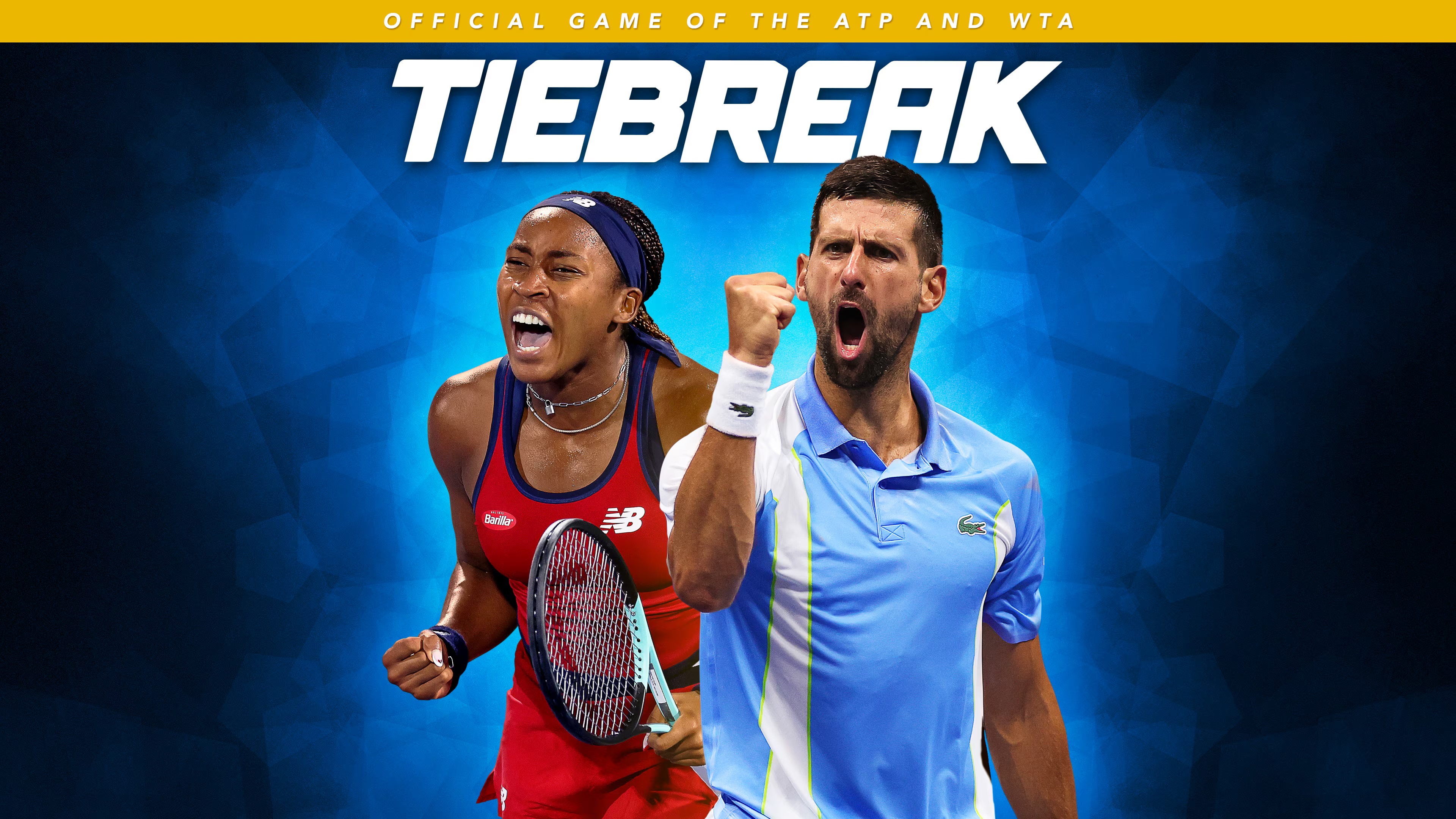 TIEBREAK: Official game of the ATP and WTA (Steam Account)