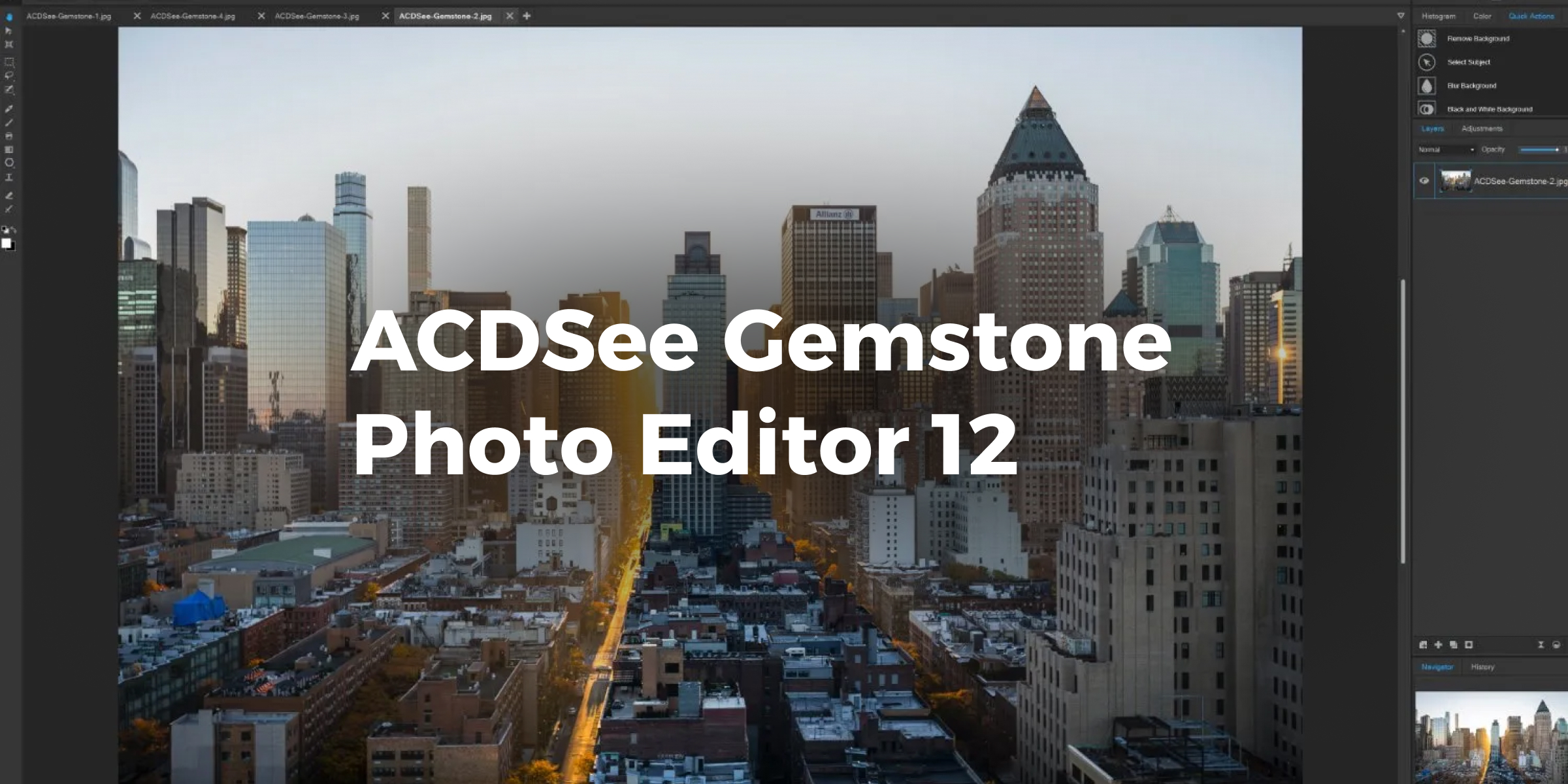 ACDSee Gemstone Photo Editor 12