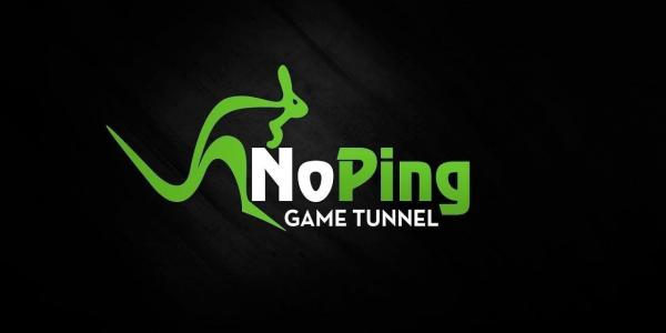 Kaufen NoPing Game Tunnel Semiannual Subscription NoPing Key 