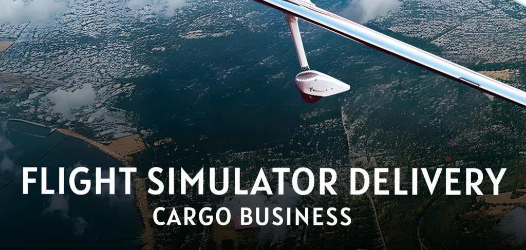 Flight Simulator Delivery Cargo Business (PS4 Account)