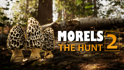 Morels The Hunt 2 (PS5 Account)
