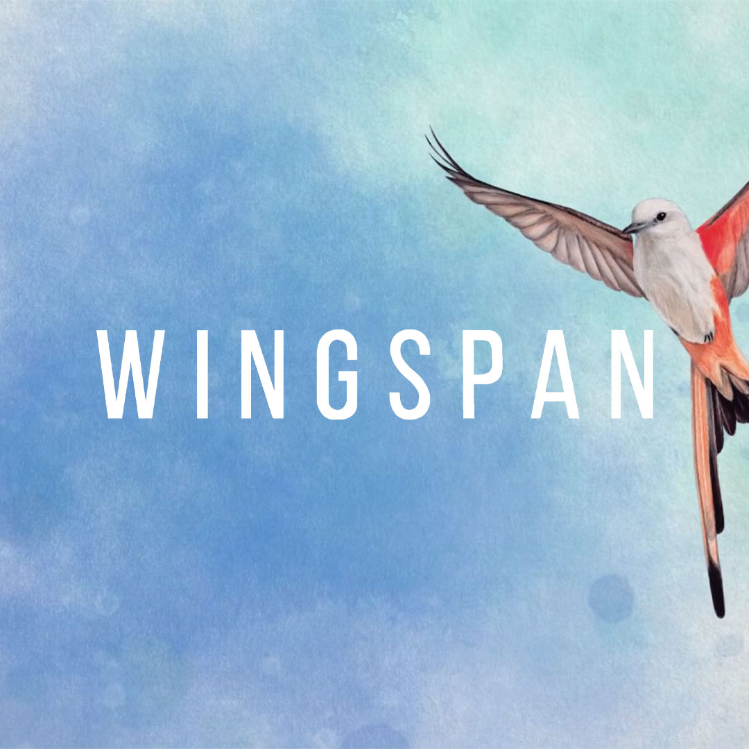 Wingspan (PS4 Account)