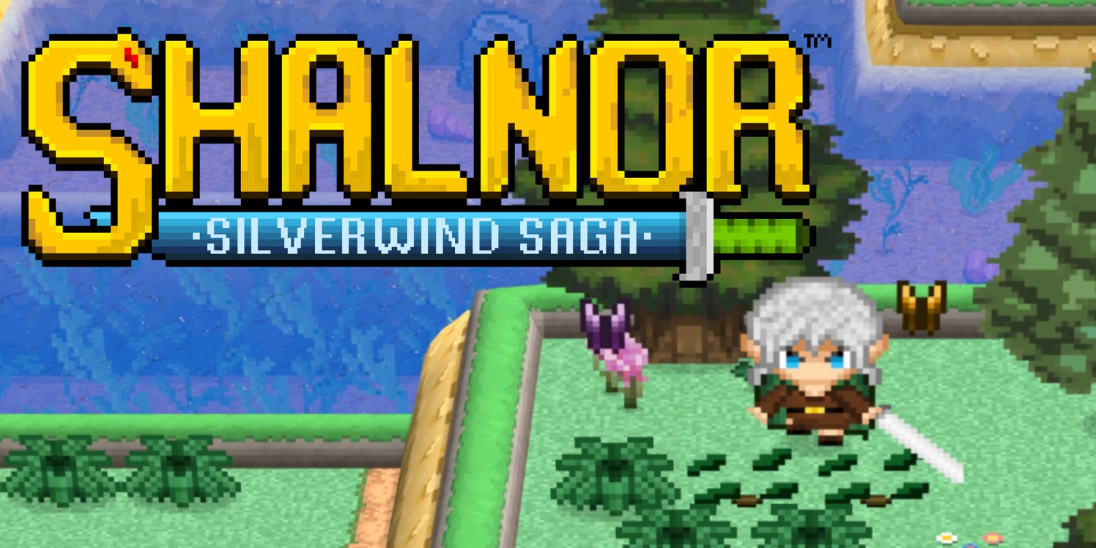 Shalnor Silverwind Saga (PS4 Account)