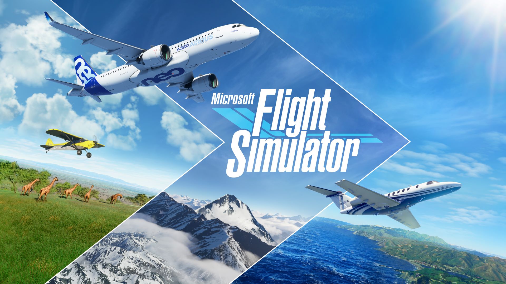 Microsoft Flight Simulator 2020 (PC)