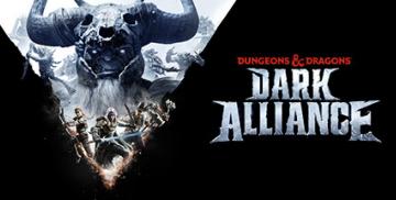 Kjøpe Dungeons & Dragons: Dark Alliance (PC)