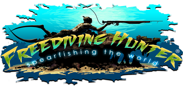 Freediving Hunter: Spearfishing the World (Xbox X)