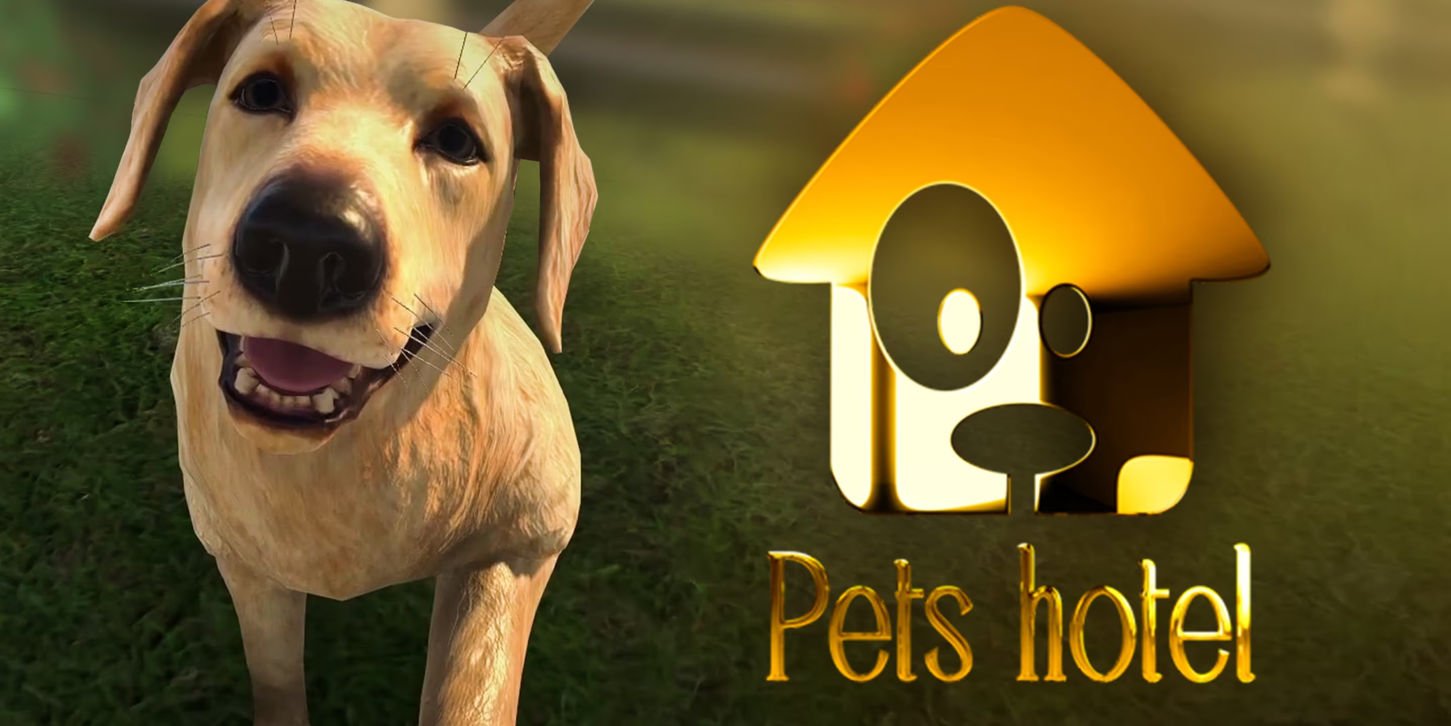 Pets Hotel (PS5 Account)