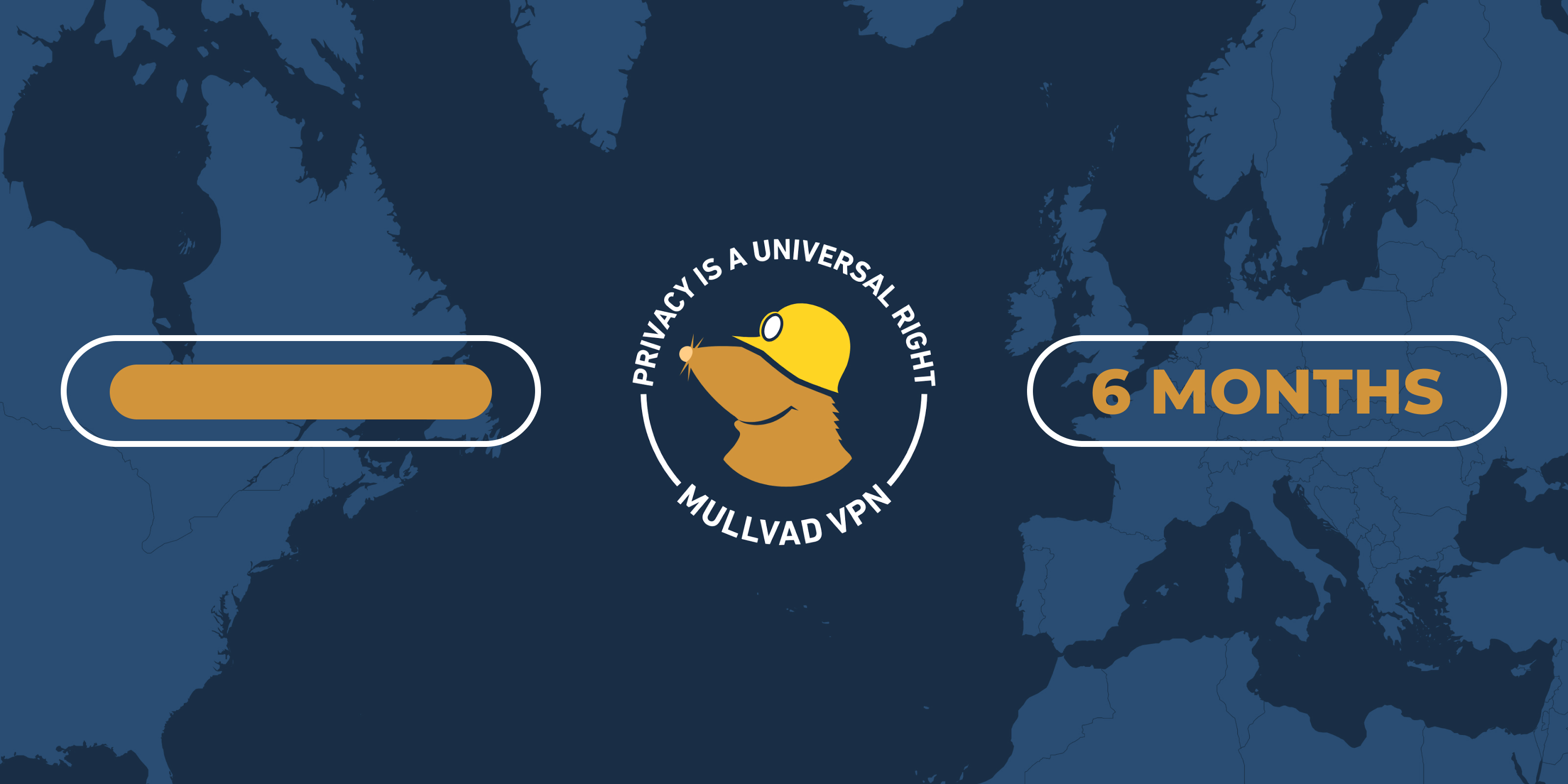 Mullvad VPN 6 Months