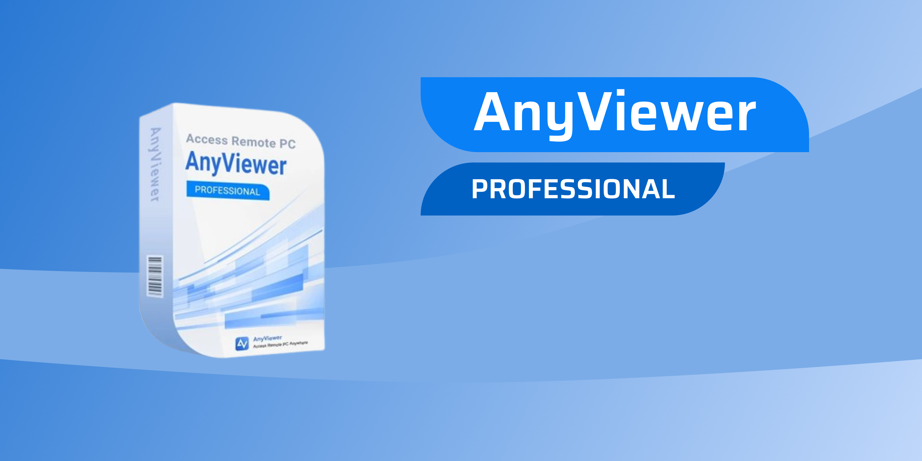 AnyViewer Professional Edition
