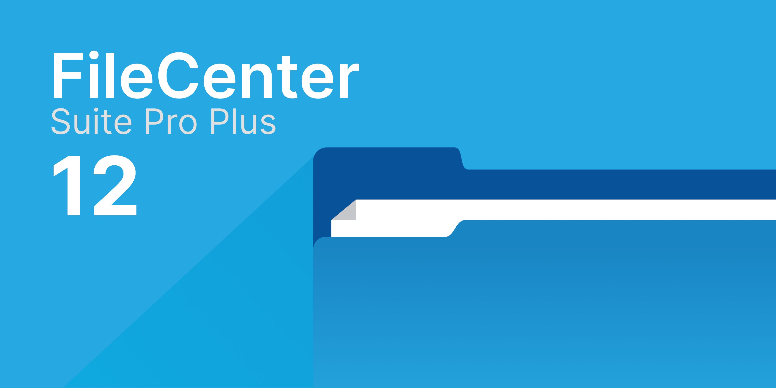 Filecenter Suite Pro Plus 12