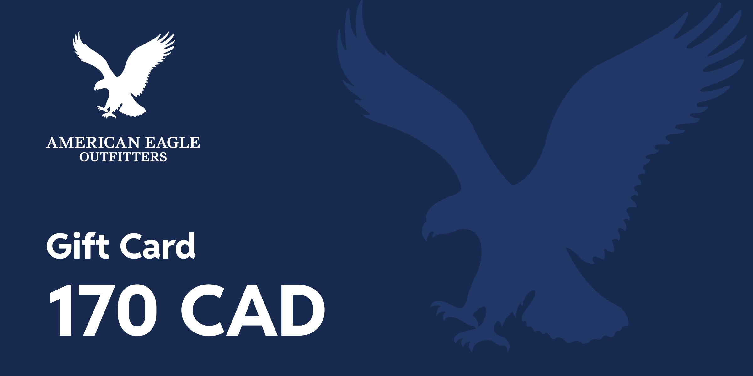 American Eagle Outfitters Gift Card 170 CAD