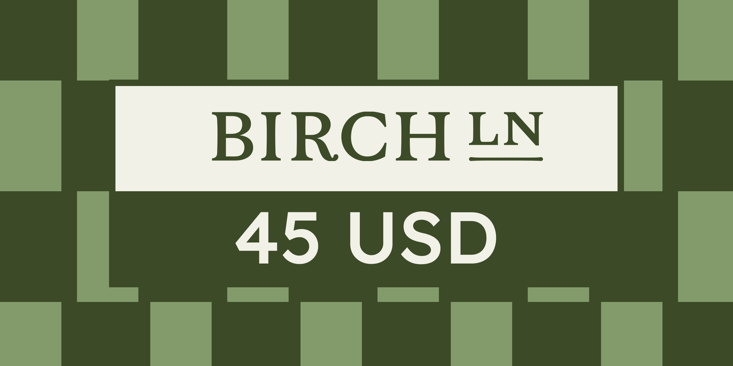 Birch Lane Gift Card 45 USD