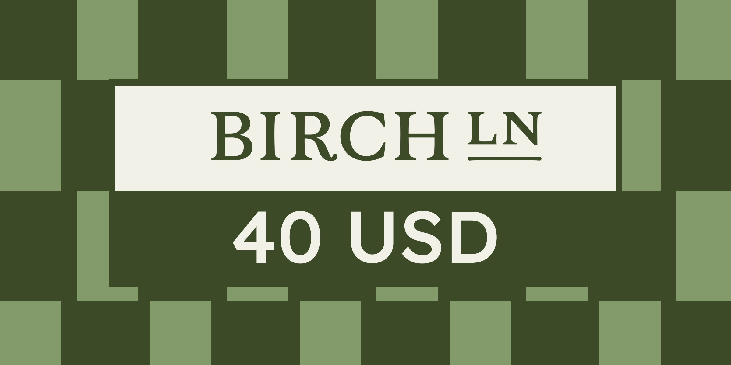 Birch Lane Gift Card 40 USD