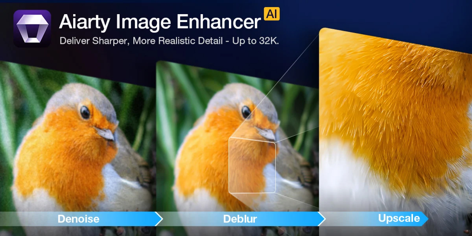 Aiarty Image Enhancer v3 (PC)