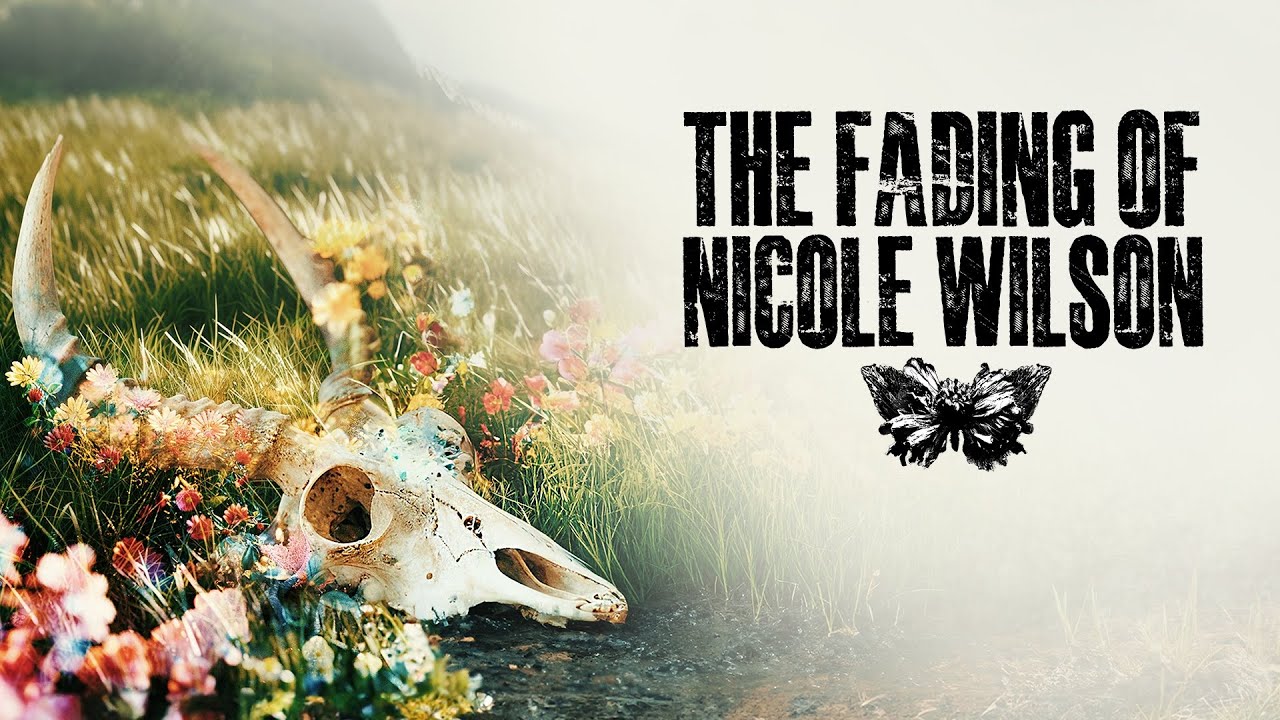 The Fading of Nicole Wilson (Nintendo Switch Account)