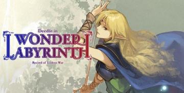Køb Record of Lodoss War Deedlit in Wonder Labyrinth (Nintendo)
