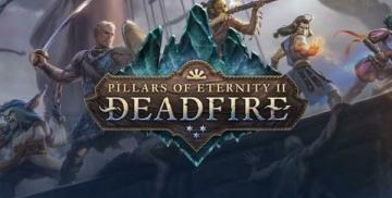 購入Pillars of Eternity II Deadfire (PC)