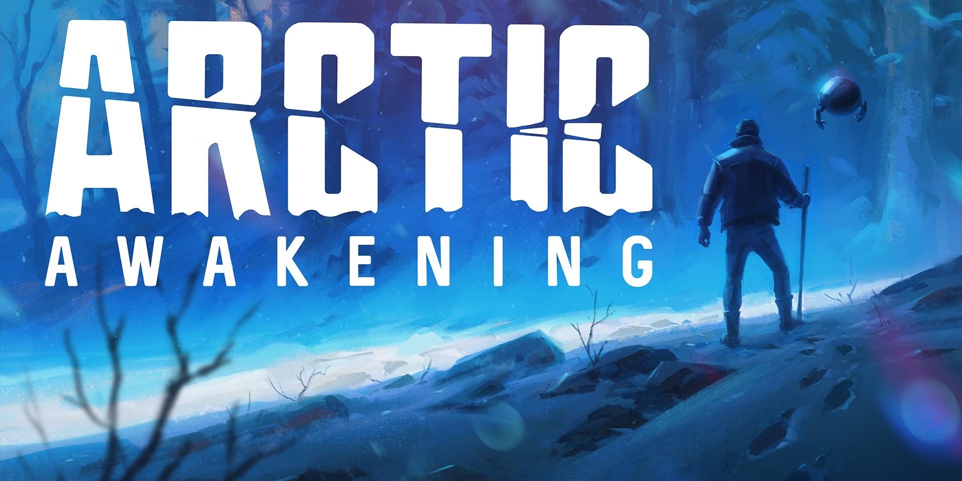 Arctic Awakening (Steam Account)